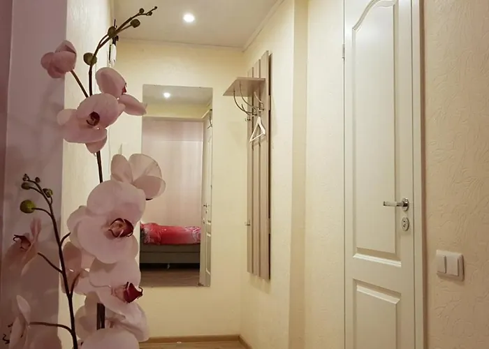 Perfect In Center Narva